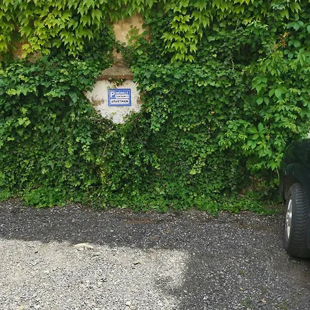 Centrum11 * Πετς